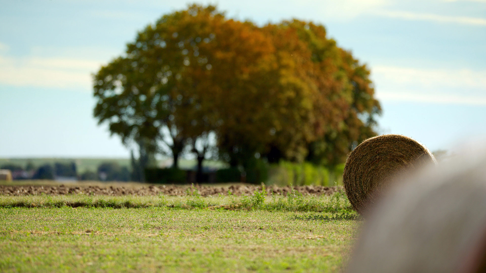 Hahnheim juedischer Friedhof