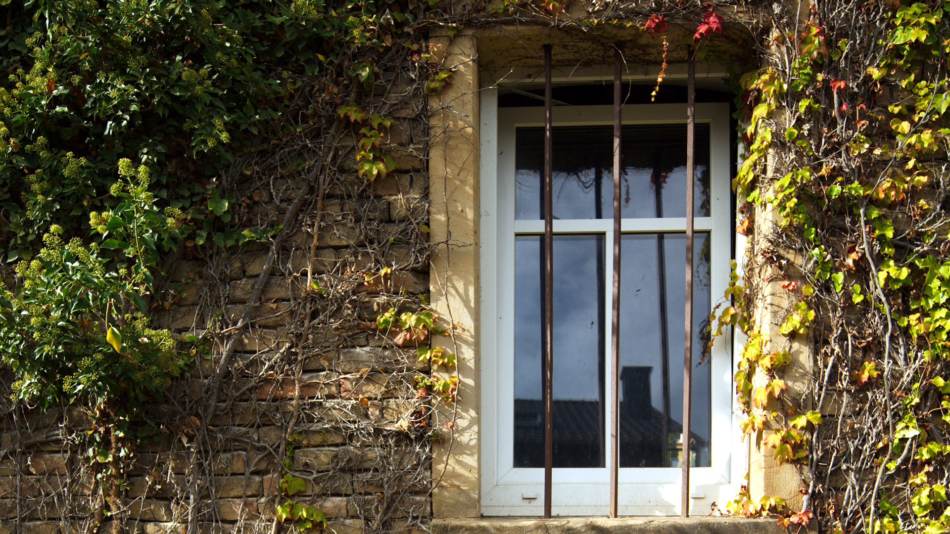 Hahnheim Obere Hauptstrasse 10