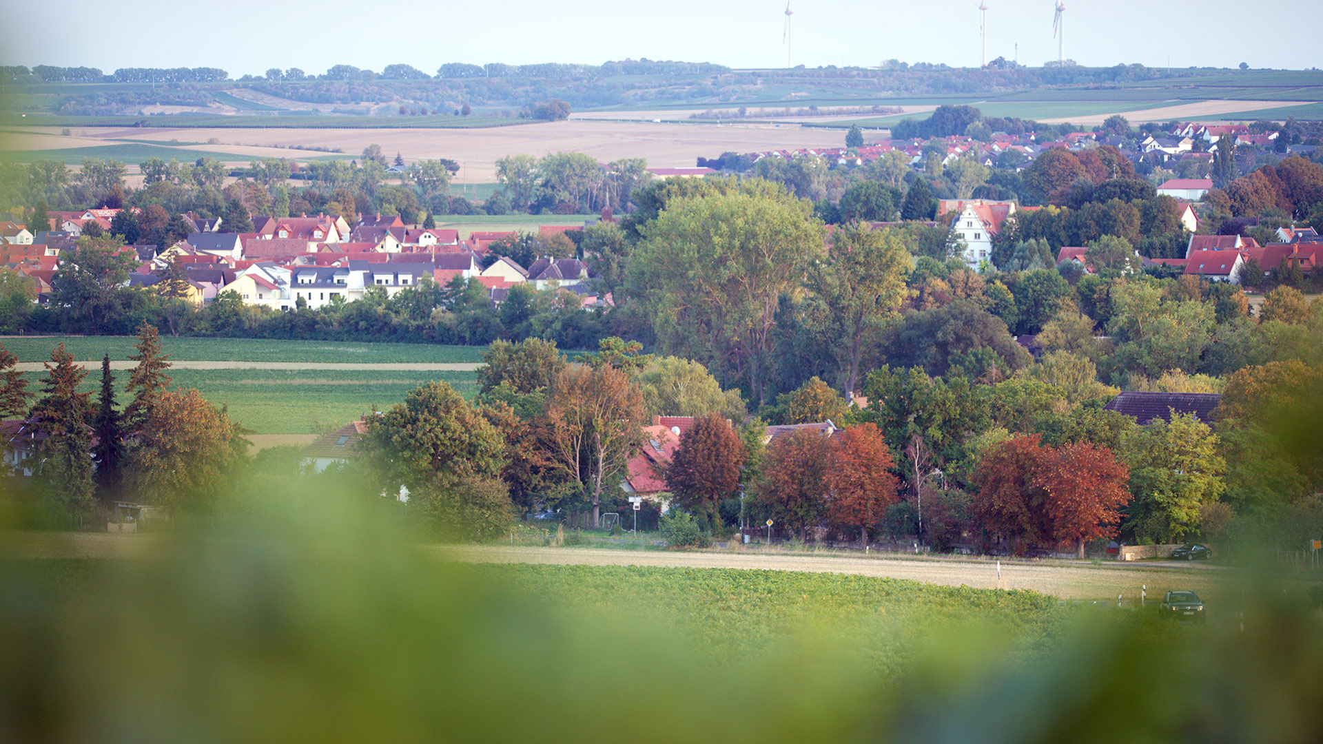 Hahnheim Ort Schloss