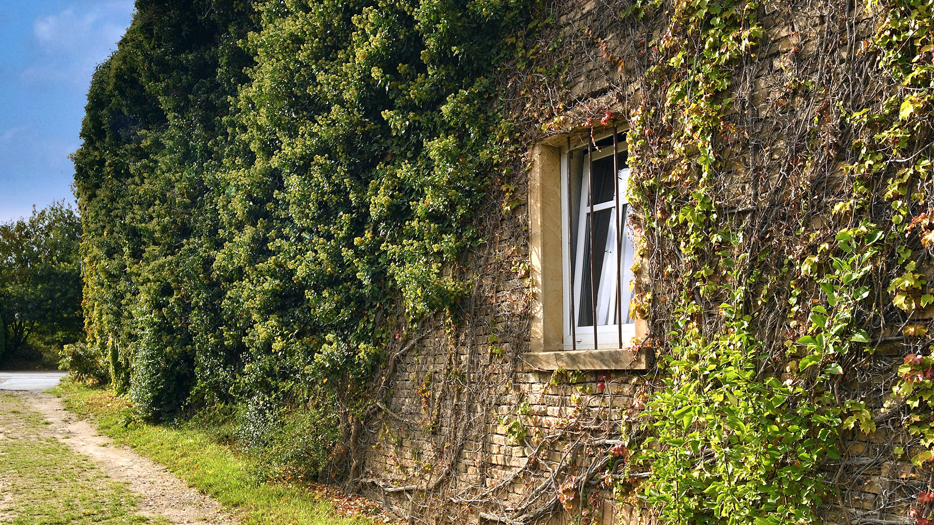 Hahnheim Verschiedenes
