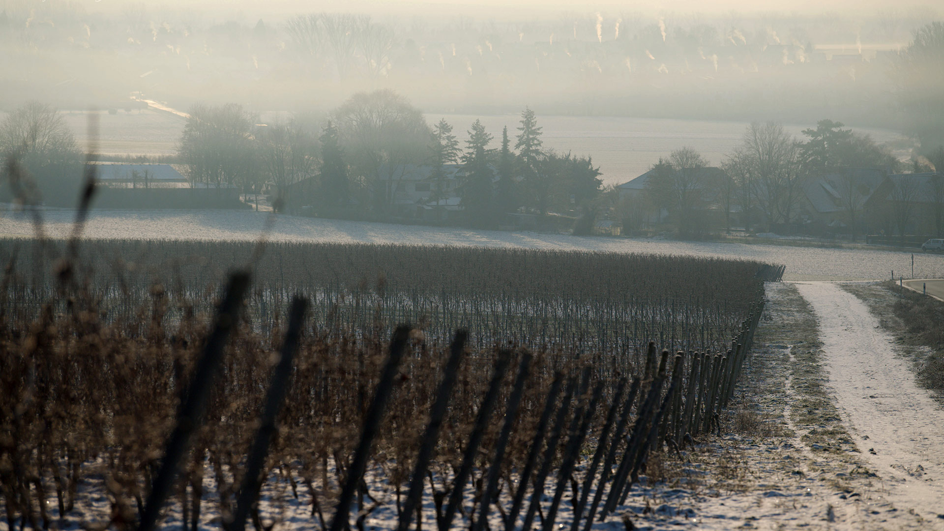 Hahnheim Wahlheimer Hof